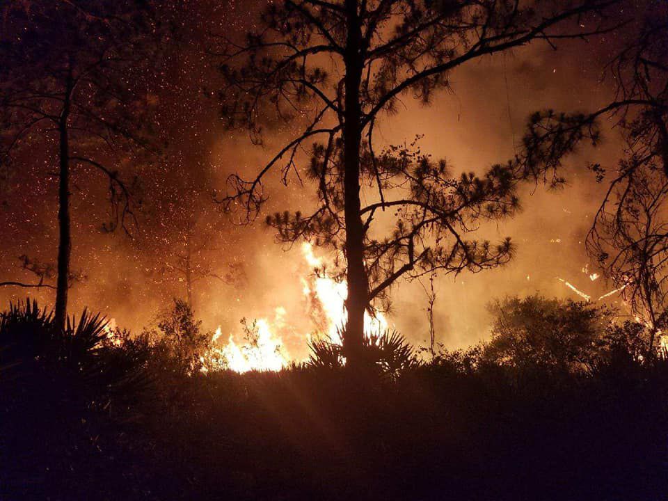 Englewood fire